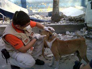 به حیوانات هائیتی کمک کنید