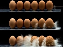 تخم مرغ های غیر بهداشتی در صنایع غذایی