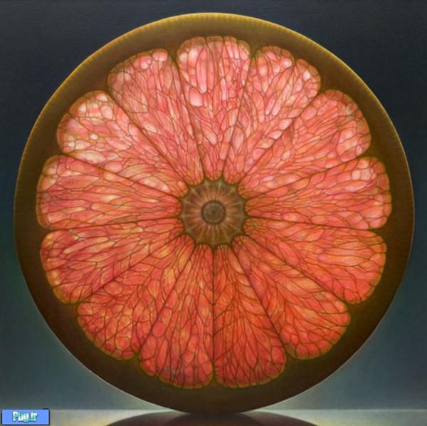 Fruit and Flowers Paintings by Dennis Wojtkiewicz 3 Fruit and Flowers Paintings