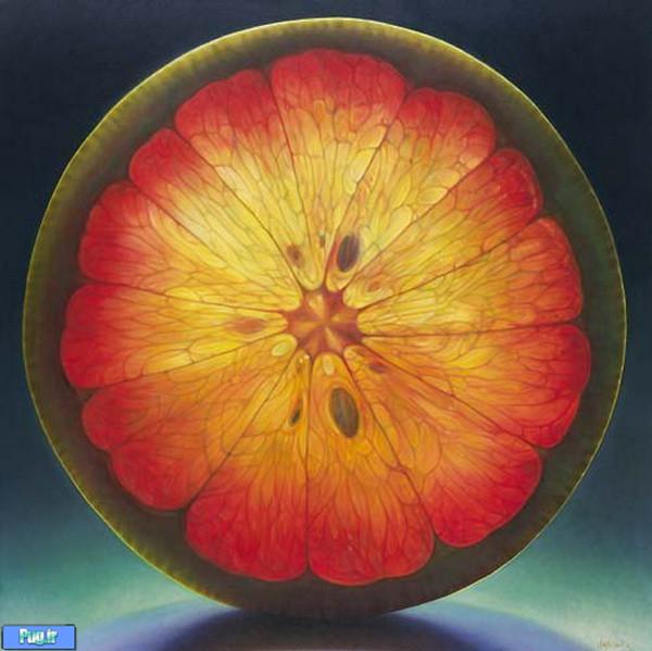 Fruit and Flowers Paintings by Dennis Wojtkiewicz 6 Fruit and Flowers Paintings