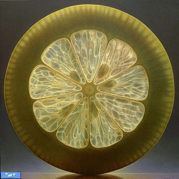 Fruit and Flowers Paintings by Dennis Wojtkiewicz 5 Fruit and Flowers Paintings