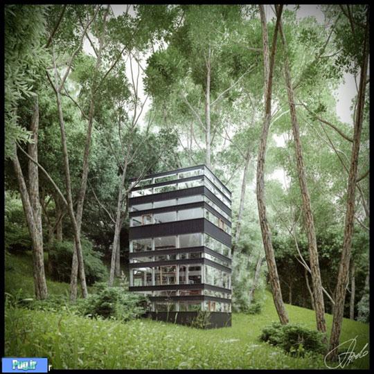 خانه ی ژاپنی در دل جنگل