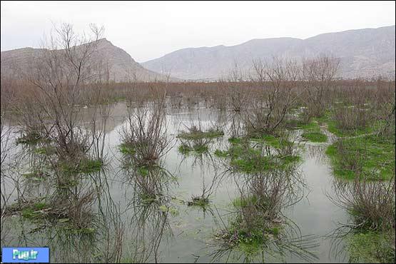 زندگی در دریاچه‌های فارس جاری شد