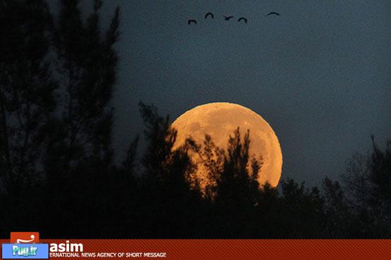 ماه در کمترین فاصله از زمین