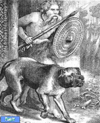 سگ در تمدن باستان  