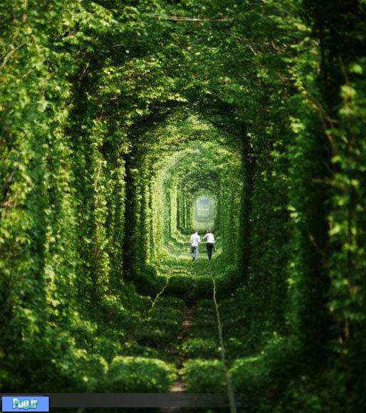 «تونل عشق» آرزوي زوج‌هاي جوان را برآورده مي‌‌‌‌كند
