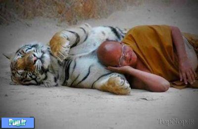 عکس هایی از خوابیدن حیوانات در کنار انسان 