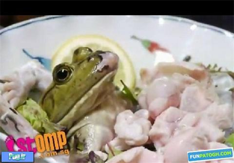 خوردن قورباغه زنده در یک رستوران ژاپنی !+تصاویر