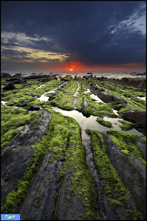  طبیعت زیبا از نگاه مایکل آریزابالاگا