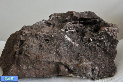 تصاویری از جمجمه 1.9 میلیون ساله 