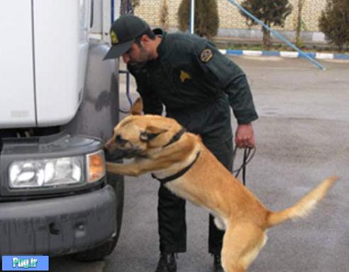 سگ ها در ارتش ایران پس از انقلاب اسلامی