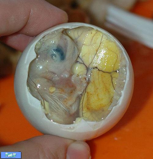 سه خوراک تخم مرغ نفرت انگیز در جهان 