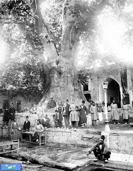 عکسی تاريخی از درخت چنار كهنسال امامزاده صالح تهران در دوره قاجار