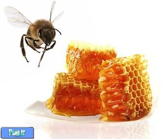 عسل موم دار نخورید!