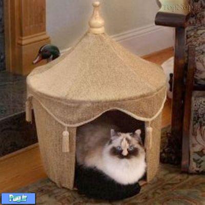 خانه هایی زیبا برای گربه ها سری 2 