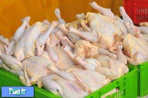 قیمت مرغ كاهش یافت، گوشت افزایش