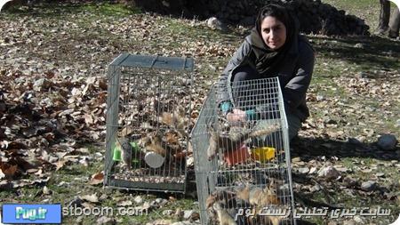 رها سازی ۱۵ سنجاب ایرانی 
