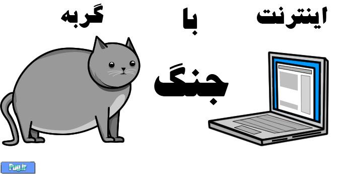 جنگ گربه با اینترنت (ترجمه)