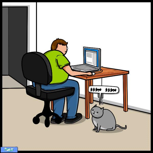 جنگ گربه با اینترنت (ترجمه)