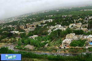 تخریب باغ های قصردشت شیراز همچنان ادامه دارد  