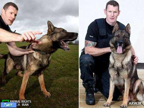 بهترین سگ پلیس دنیا 