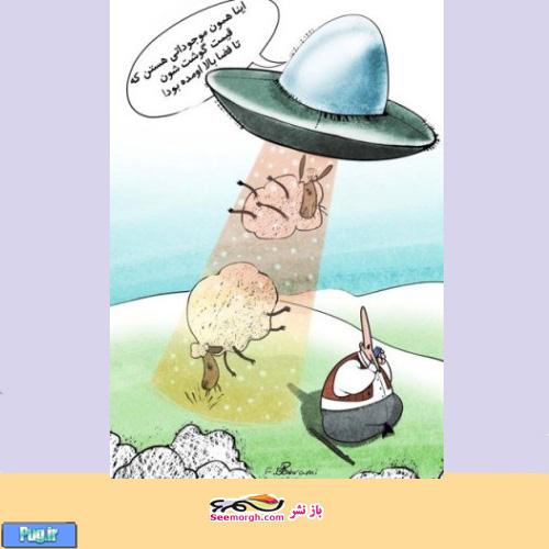 کارتون روز: قیمت گوشی گوسفند فضایی شد!