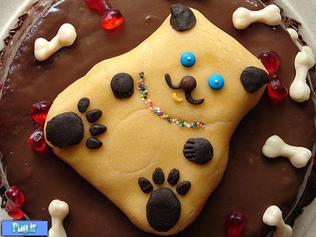 طرز تهیه کیک برای تولد سگ شما 