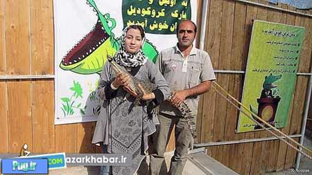 این خانم ایرانی کروکدیل پرورش می‌دهد