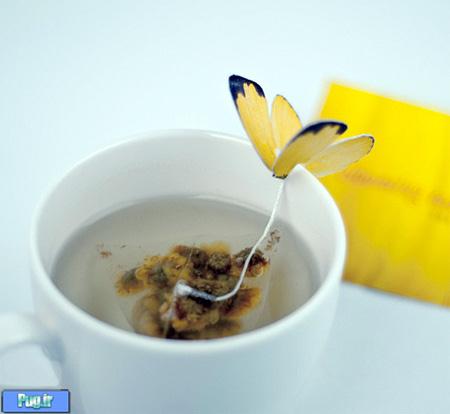 چای با طعم پروانه 