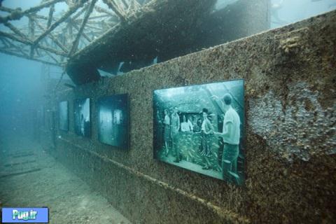 نمایشگاه عکاسی متفاوت در عمق دریا!+تصاویر