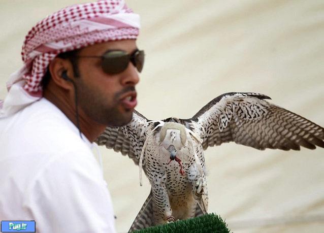 عقاب ایرانی روی شانه شیخ نشینان!