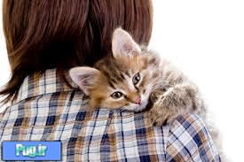 راهنمای درمان های خانگی برای گربه شما (ترجمه)