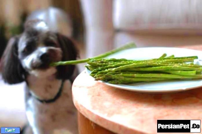 سبزیجاتی که برای سگها مناسب می باشند.