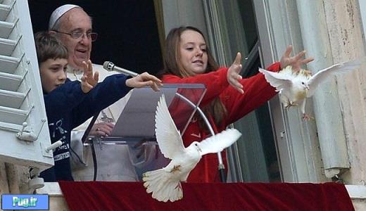 حمله پرندگان در مقابل پاپ