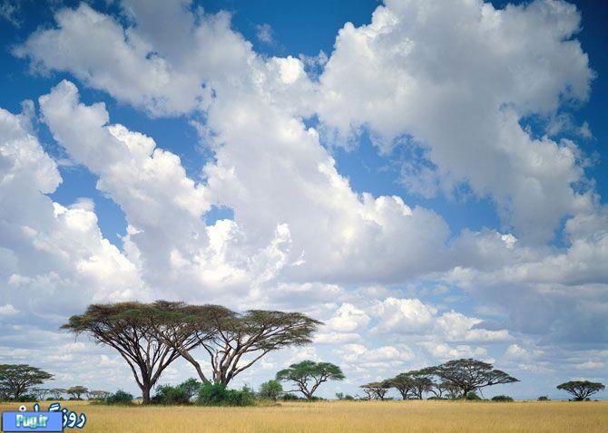 آفریقا،سرزمین زیبایی ها 