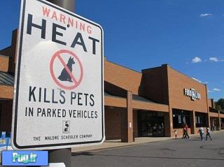 از حیوان خانگی خود در برابر شوک گرمایی محافظت کنید