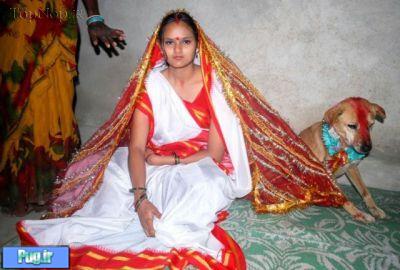 ازدواج دختر هندی با سگ برای دوری از گناه 