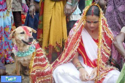 ازدواج دختر هندی با سگ برای دوری از گناه 