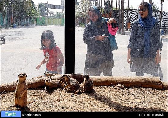 پستاندار نادر میرکِت در تهران