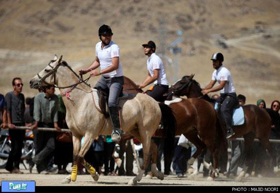  جشنواره زیبایی اسب - اراک
