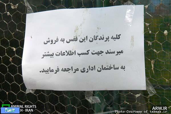پرنده فروشی علنی در باغ پرندگان اصفهان