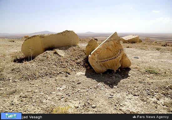 کشف فسیل 20 میلیون ساله در ایران 