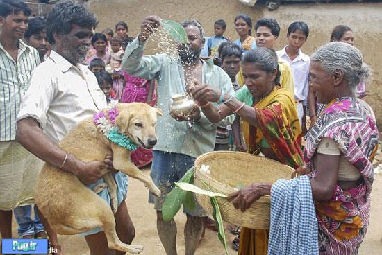 ازدواج دختر هندی با یک سگ! +عکس