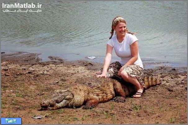 دوستی جالب مردم با تمساح بزرگ