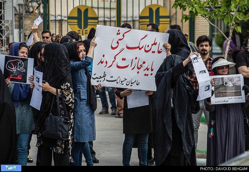 تجمع در اعتراض به کشتار حیوانات در مشهد