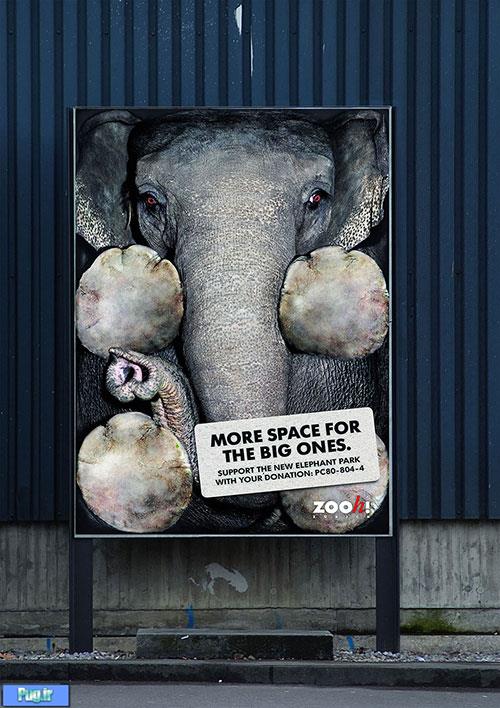 پوسترهای تاثیر گذار در حمایت از حیوانات (1)