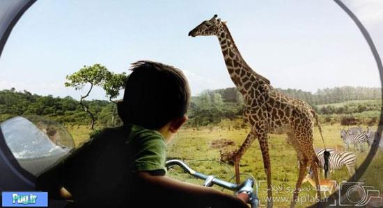 پیشرفته ترین باغ وحش جهان +عکس