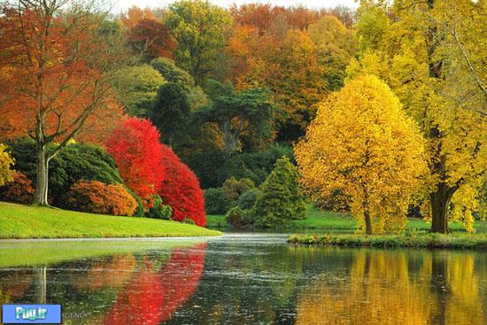 پاییز رویایی در طبیعت انگلیس
