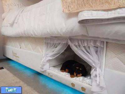 جای خواب بسیار زیبا برای سگ ها 