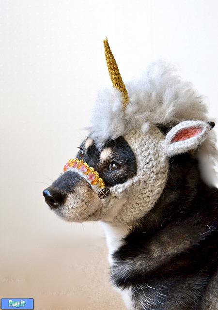 ماسک هایی برای سگ ها با طرح تک شاخ 